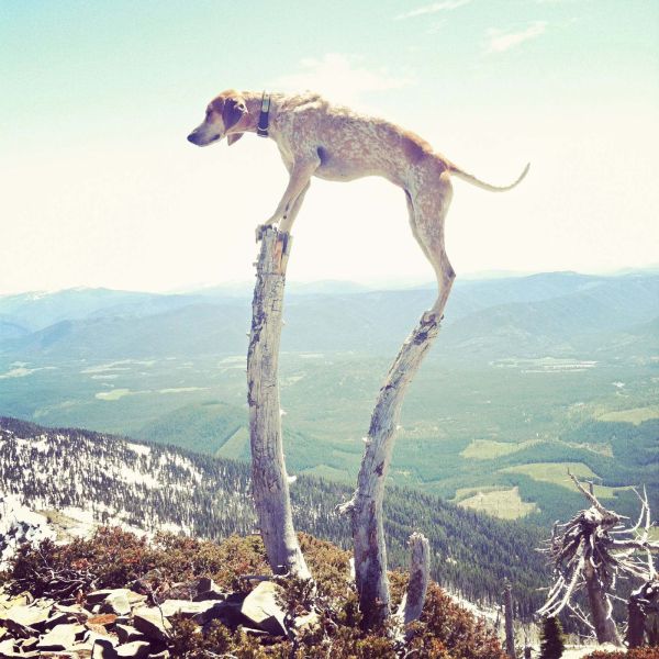 morning picdump 54 pics 35.html - 54 HD Photos | Premium Gallery 2014