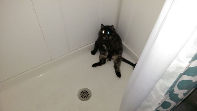 morning picdump 54 pics 35.html - 54 HD Photos | Premium Gallery 2014