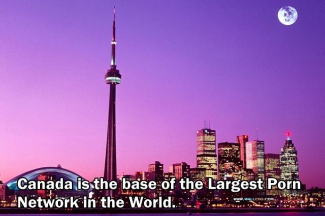 Trivia about the Adult Film Industry