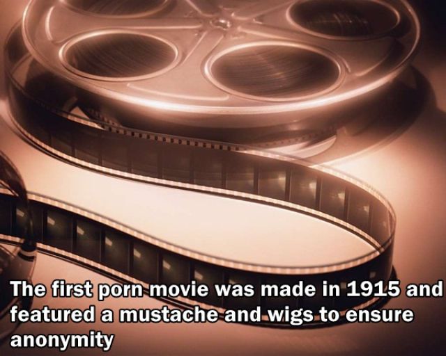 Trivia about the Adult Film Industry