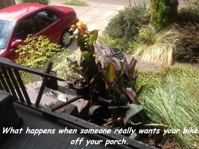 daily picdump 98 pics 18.html - 98 HD Photos | Premium Gallery 2014