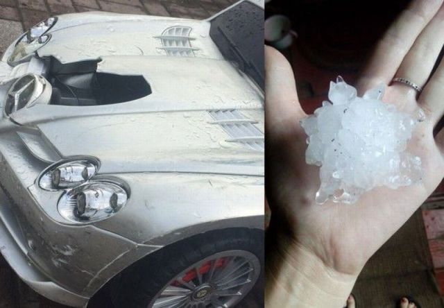 daily picdump 98 pics 18.html - 98 HD Photos | Premium Gallery 2014