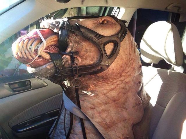 daily picdump 98 pics 18.html - 98 HD Photos | Premium Gallery 2014