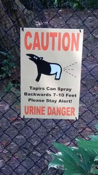 morning picdump 55 pics 7.html - 55 HD Photos | Premium Gallery 2014