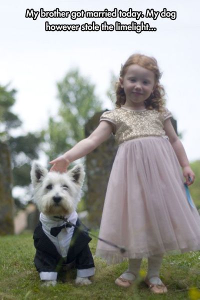 morning picdump 55 pics 7.html - 55 HD Photos | Premium Gallery 2014