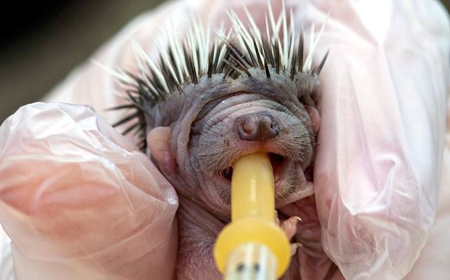 morning picdump 55 pics 7.html - 55 HD Photos | Premium Gallery 2014