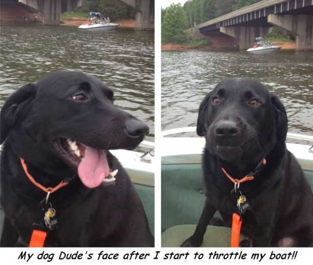 morning picdump 55 pics 7.html - 55 HD Photos | Premium Gallery 2014