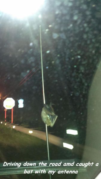 morning picdump 54 pics 19.html - 54 HD Photos | Premium Gallery 2014