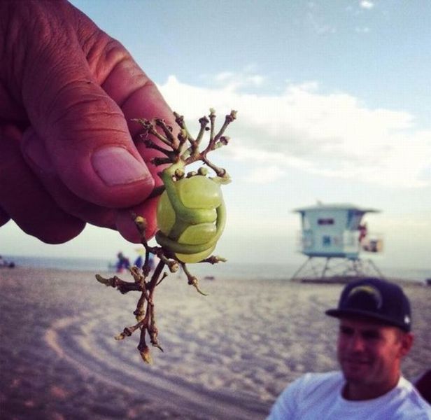 morning picdump 54 pics 19.html - 54 HD Photos | Premium Gallery 2014