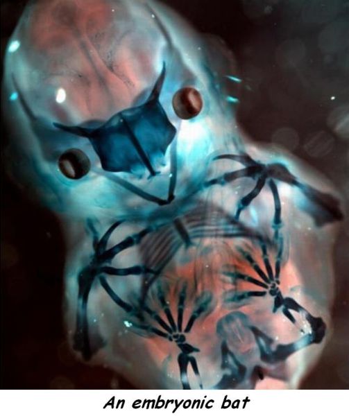 morning picdump 54 pics 19.html - 54 HD Photos | Premium Gallery 2014