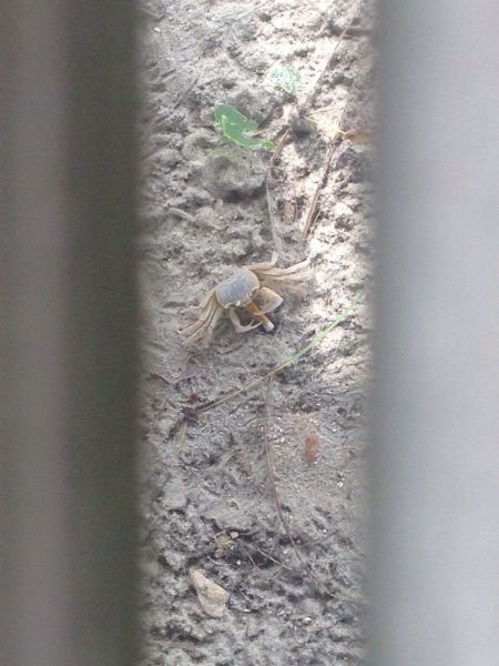 morning picdump 56 pics 8.html - 56 HD Photos | Premium Gallery 2014