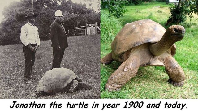 morning picdump 56 pics 8.html - 56 HD Photos | Premium Gallery 2014