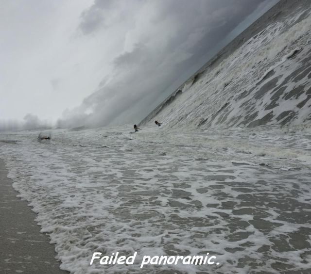 morning picdump 56 pics 4.html - 56 HD Photos | Premium Gallery 2014