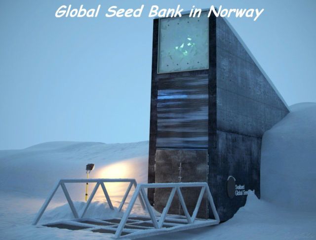 morning picdump 56 pics 4.html - 56 HD Photos | Premium Gallery 2014