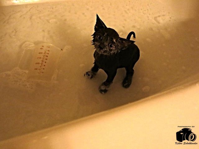 morning picdump 56 pics 4.html - 56 HD Photos | Premium Gallery 2014