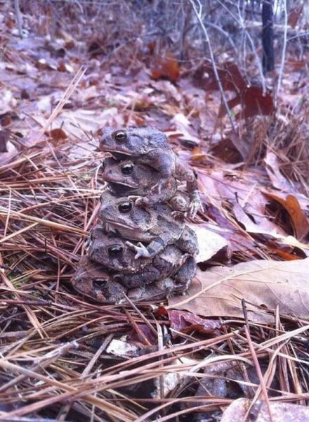 morning picdump 56 pics 4.html - 56 HD Photos | Premium Gallery 2014