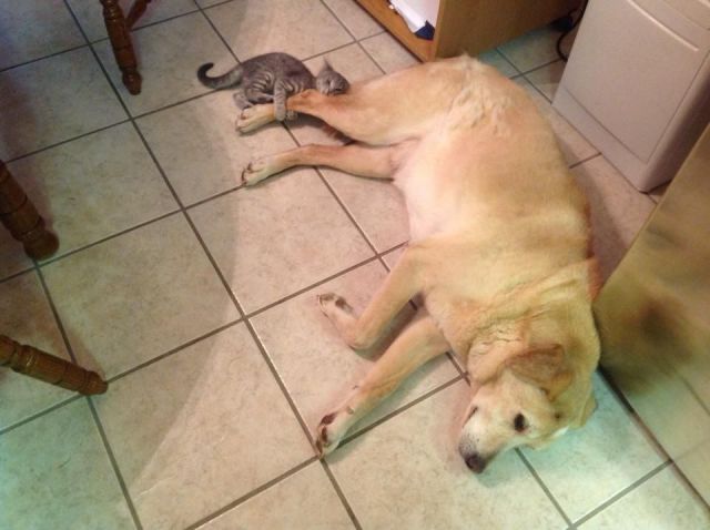 morning picdump 56 pics 4.html - 56 HD Photos | Premium Gallery 2014