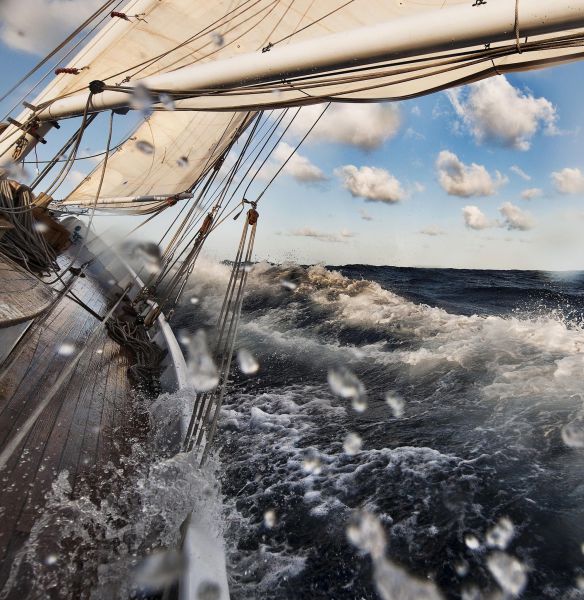 morning picdump 56 pics 4.html - 56 HD Photos | Premium Gallery 2014