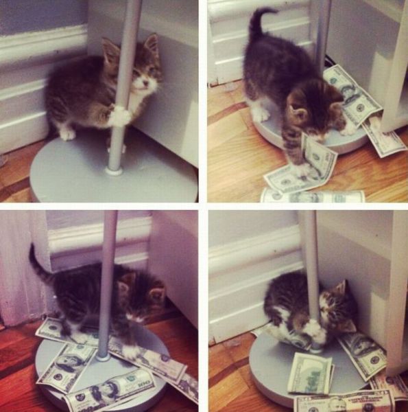 morning picdump 57 pics 29.html - 57 HD Photos | Premium Gallery 2014