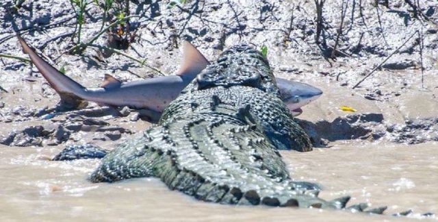 morning picdump 57 pics 29.html - 57 HD Photos | Premium Gallery 2014