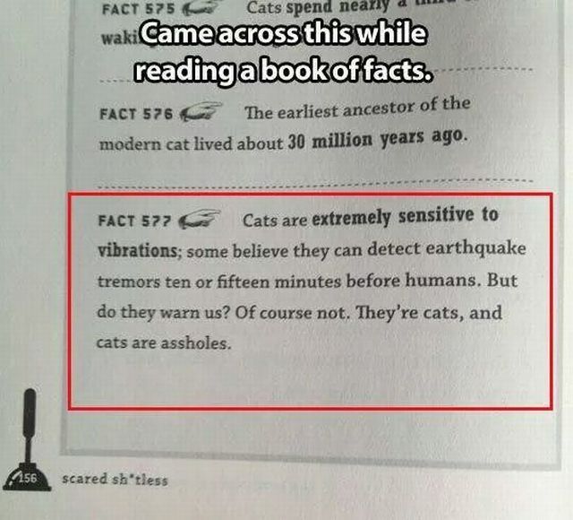 morning picdump 54 pics 34.html - 54 HD Photos | Premium Gallery 2014