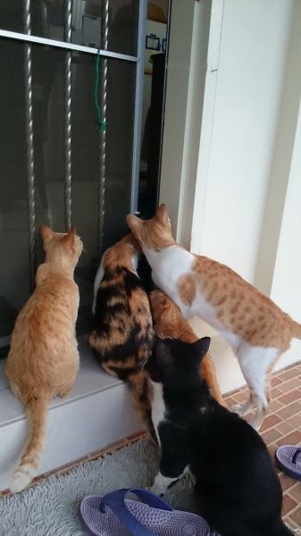 morning picdump 54 pics 34.html - 54 HD Photos | Premium Gallery 2014