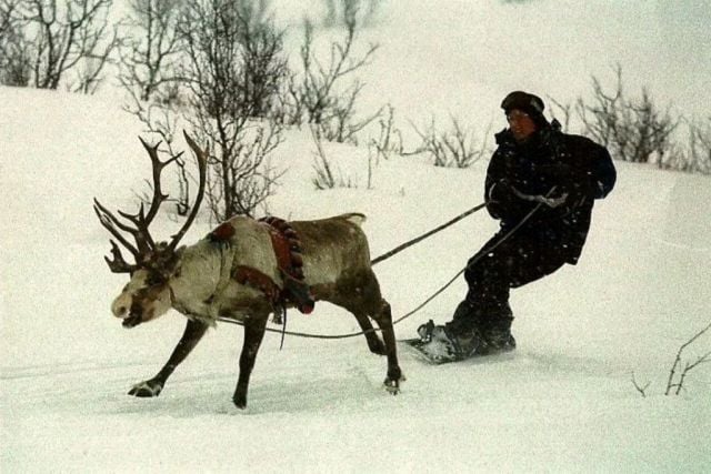 morning picdump 54 pics 34.html - 54 HD Photos | Premium Gallery 2014