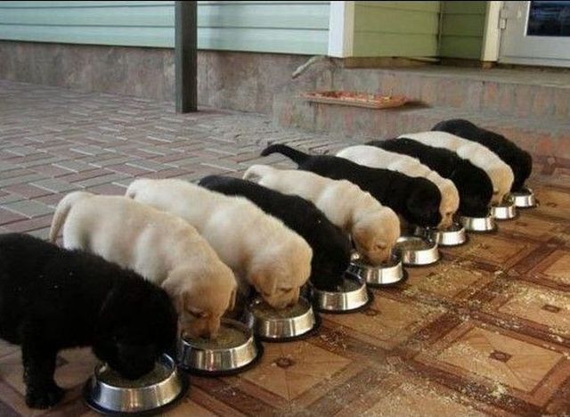 morning picdump 54 pics 34.html - 54 HD Photos | Premium Gallery 2014