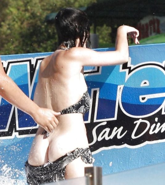 Katy Perry Loses Her Undies in a Water Park