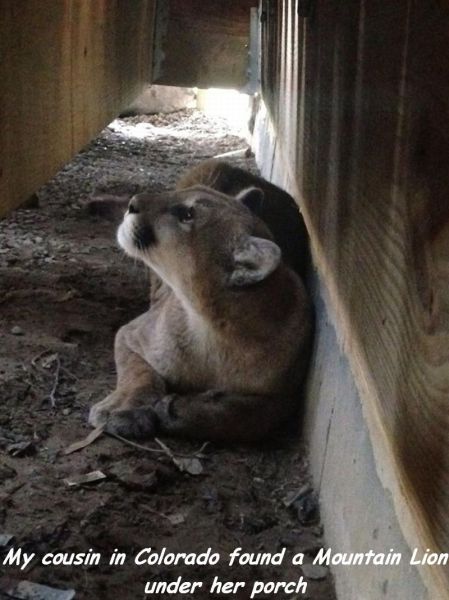 morning picdump 60 pics 16.html - 60 HD Photos | Premium Gallery 2014