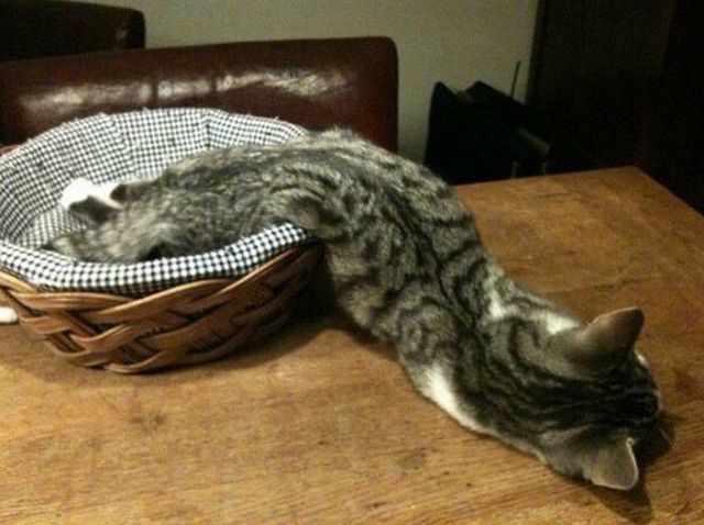 morning picdump 60 pics 16.html - 60 HD Photos | Premium Gallery 2014