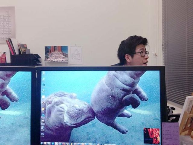 morning picdump 60 pics 16.html - 60 HD Photos | Premium Gallery 2014