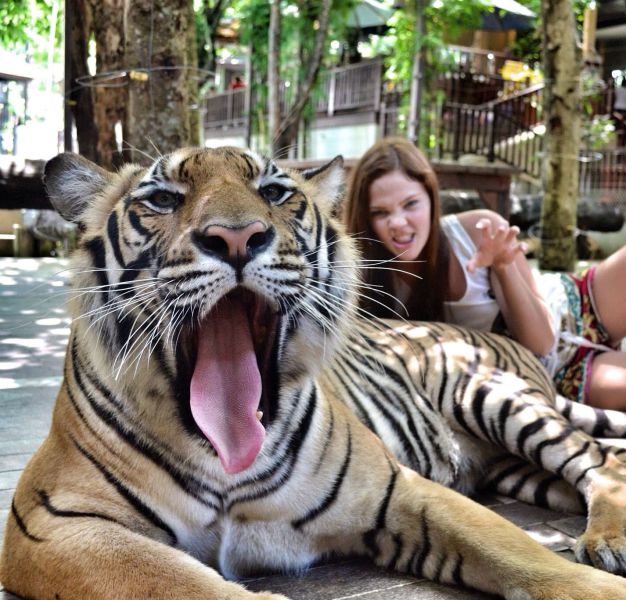 morning picdump 60 pics 16.html - 60 HD Photos | Premium Gallery 2014