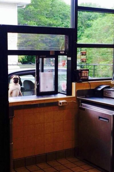 morning picdump 60 pics 16.html - 60 HD Photos | Premium Gallery 2014