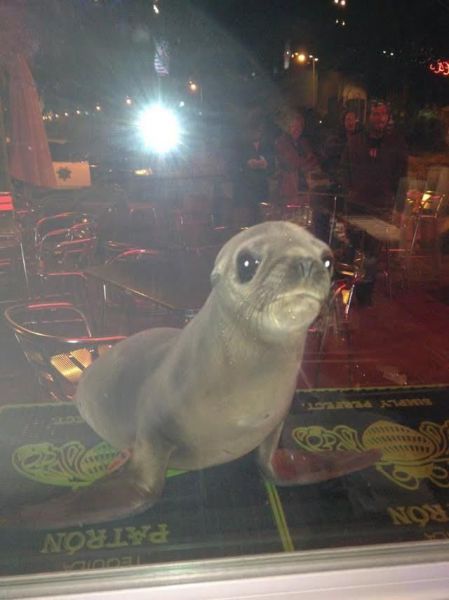 morning picdump 60 pics 16.html - 60 HD Photos | Premium Gallery 2014