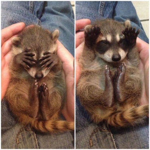 morning picdump 60 pics 16.html - 60 HD Photos | Premium Gallery 2014