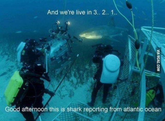 morning picdump 60 pics 16.html - 60 HD Photos | Premium Gallery 2014