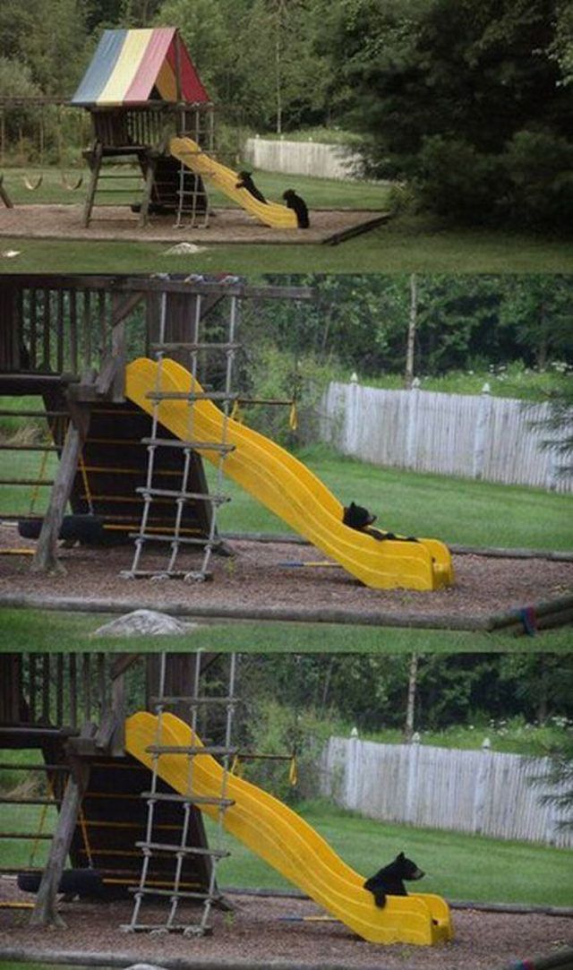 morning picdump 60 pics 16.html - 60 HD Photos | Premium Gallery 2014