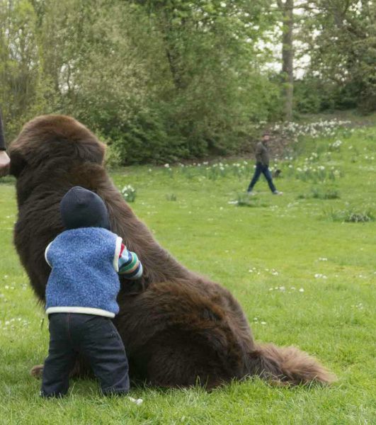 daily picdump 97 pics 22.html - 97 HD Photos | Premium Gallery 2014