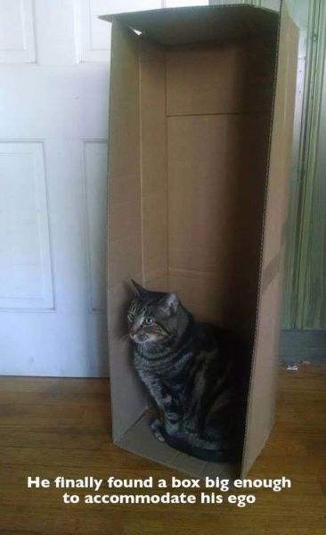 daily picdump 97 pics 22.html - 97 HD Photos | Premium Gallery 2014