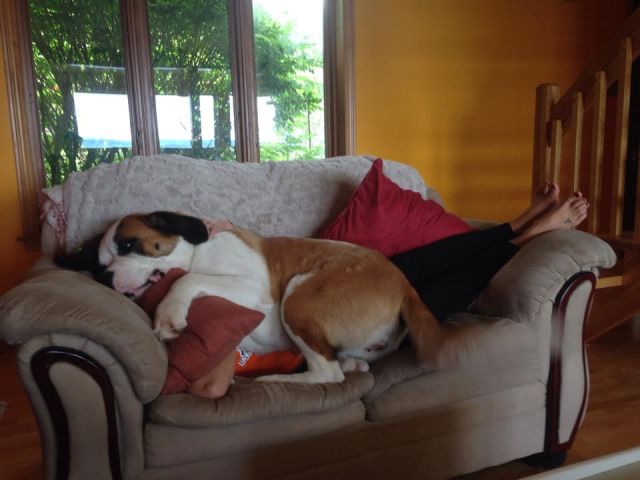 daily picdump 97 pics 22.html - 97 HD Photos | Premium Gallery 2014