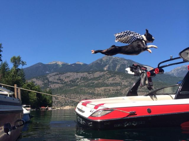 daily picdump 97 pics 22.html - 97 HD Photos | Premium Gallery 2014