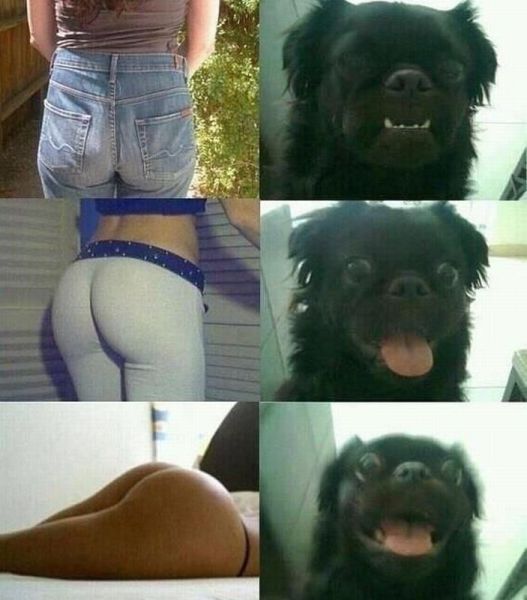 daily picdump 97 pics 22.html - 97 HD Photos | Premium Gallery 2014