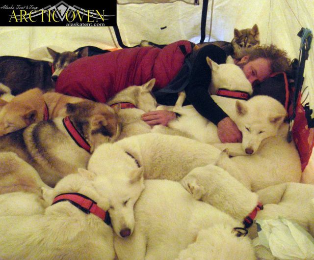 daily picdump 97 pics 22.html - 97 HD Photos | Premium Gallery 2014