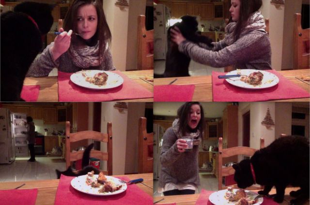 daily picdump 97 pics 22.html - 97 HD Photos | Premium Gallery 2014