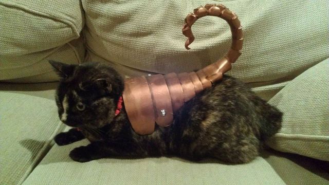 daily picdump 97 pics 22.html - 97 HD Photos | Premium Gallery 2014