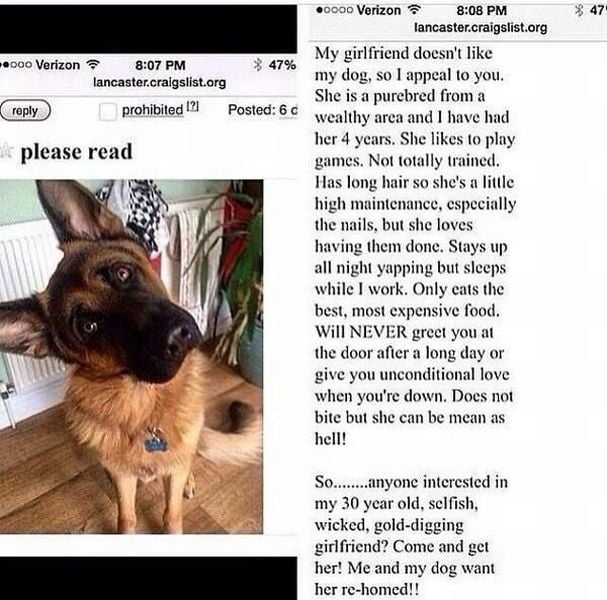 morning picdump 56 pics 2.html - 56 HD Photos | Premium Gallery 2014