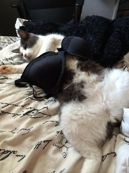 morning picdump 56 pics 2.html - 56 HD Photos | Premium Gallery 2014