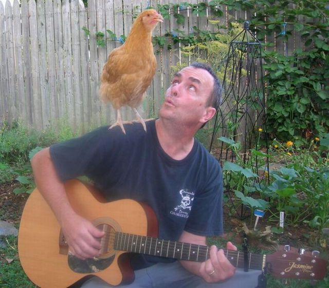 morning picdump 56 pics 2.html - 56 HD Photos | Premium Gallery 2014