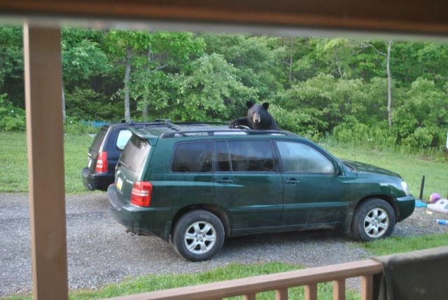 morning picdump 56 pics 2.html - 56 HD Photos | Premium Gallery 2014